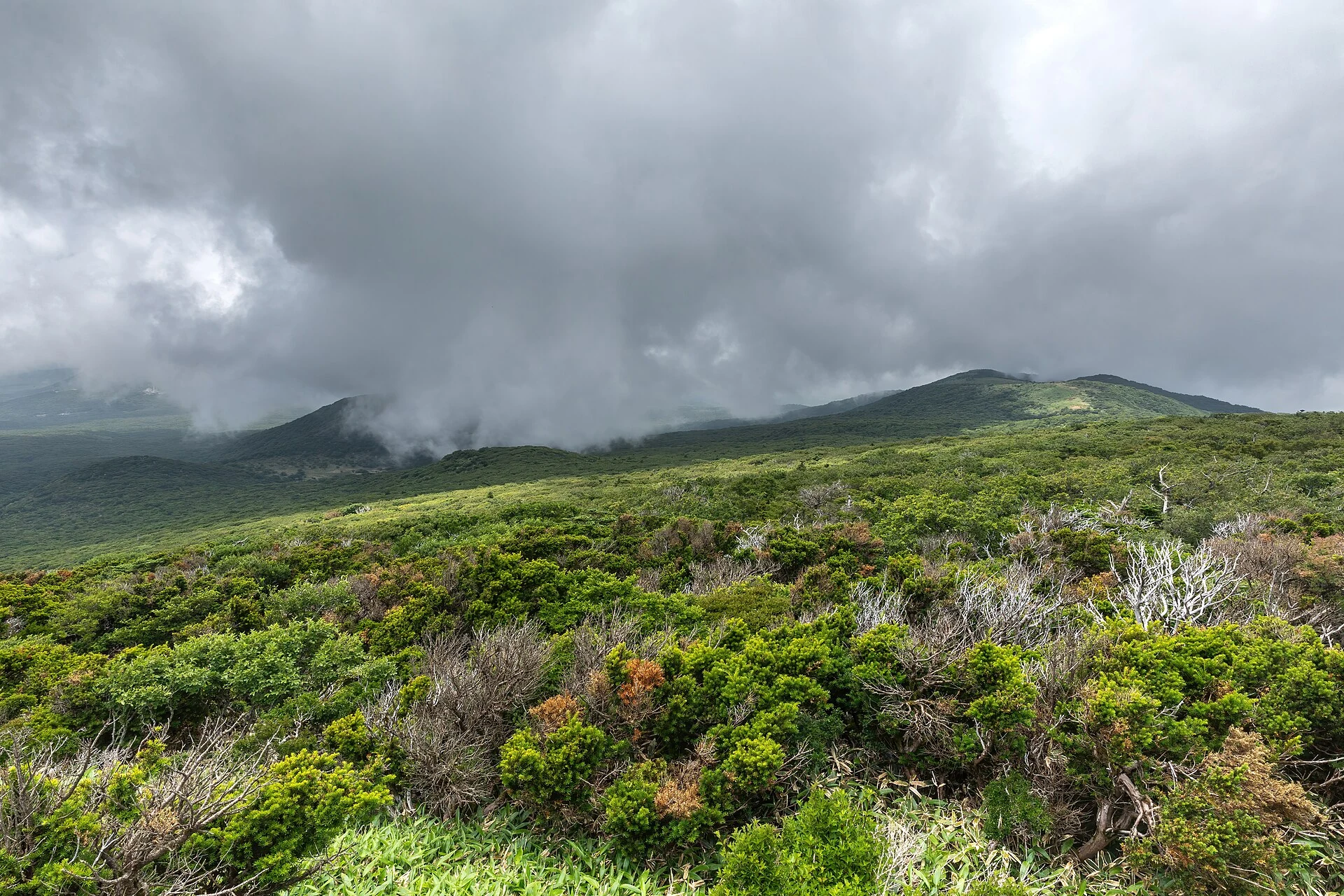 漢拏山一帯（済州島）の実景