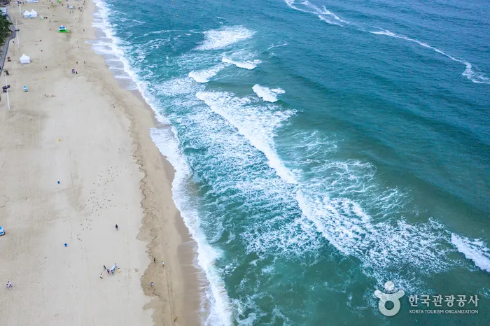 江陵・鏡浦の砂浜と海