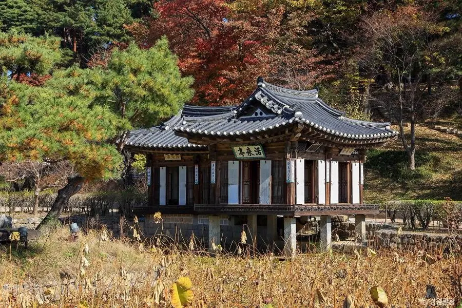 江陵・船橋荘の活来亭と池