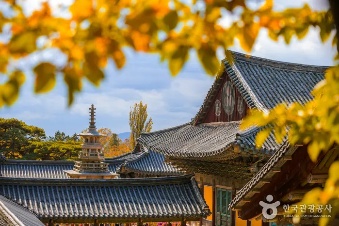 秋の仏国寺の屋根と多宝塔