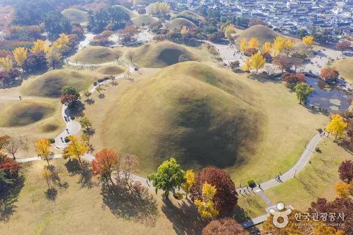 大陵苑の古墳群と園路を上空から見た景色