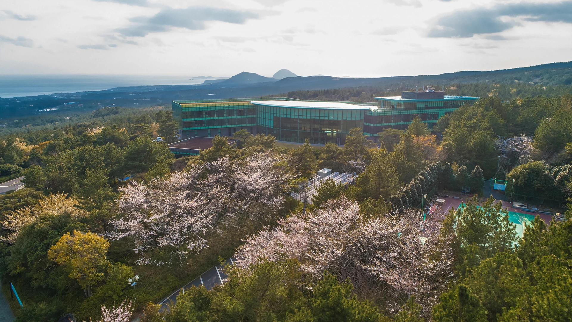 漢拏山中腹の森にあるWE Hotel Jejuの実際のホテル外観